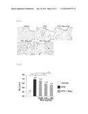 Agent for Ameliorating Chronic Obstructive Pulmonary Disease diagram and image