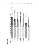 PLATELET COMPOSITIONS AND USES THEREOF diagram and image