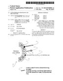 NANOCOMPOSITES FOR IMAGING AND DRUG DELIVERY diagram and image