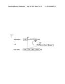 RNA TRANS-SPLICING MOLECULE (RTM) FOR USE IN THE TREATMENT OF CANCER diagram and image