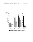 RNA TRANS-SPLICING MOLECULE (RTM) FOR USE IN THE TREATMENT OF CANCER diagram and image