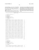 RNA TRANS-SPLICING MOLECULE (RTM) FOR USE IN THE TREATMENT OF CANCER diagram and image