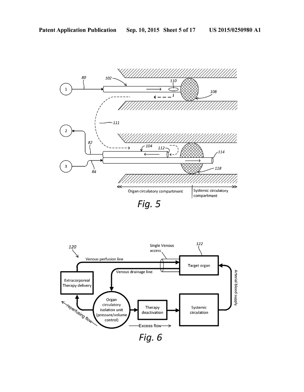 Localized Therapy Delivery and Local Organ Protection - diagram, schematic, and image 06