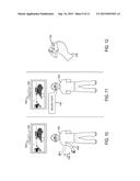 RECORDING COMPANION diagram and image