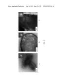 NANO SEEDING TOOLS TO GENERATE NANOMETER SIZE CRYSTALLIZATION SEEDS diagram and image