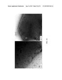 NANO SEEDING TOOLS TO GENERATE NANOMETER SIZE CRYSTALLIZATION SEEDS diagram and image