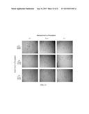 NANO SEEDING TOOLS TO GENERATE NANOMETER SIZE CRYSTALLIZATION SEEDS diagram and image