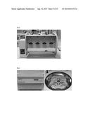 TREATMENT OF CLAY OR DREDGED SEDIMENT WITH POLYMER INCREASES ADSORPTION     CHARACTERISTICS diagram and image