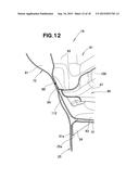 VEHICLE BODY REAR STRUCTURE diagram and image