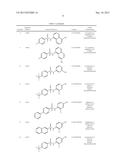 Use of a Compound for Inducing Differentiation of Mesenchymal Stem Cells     into Cartilage Cells diagram and image