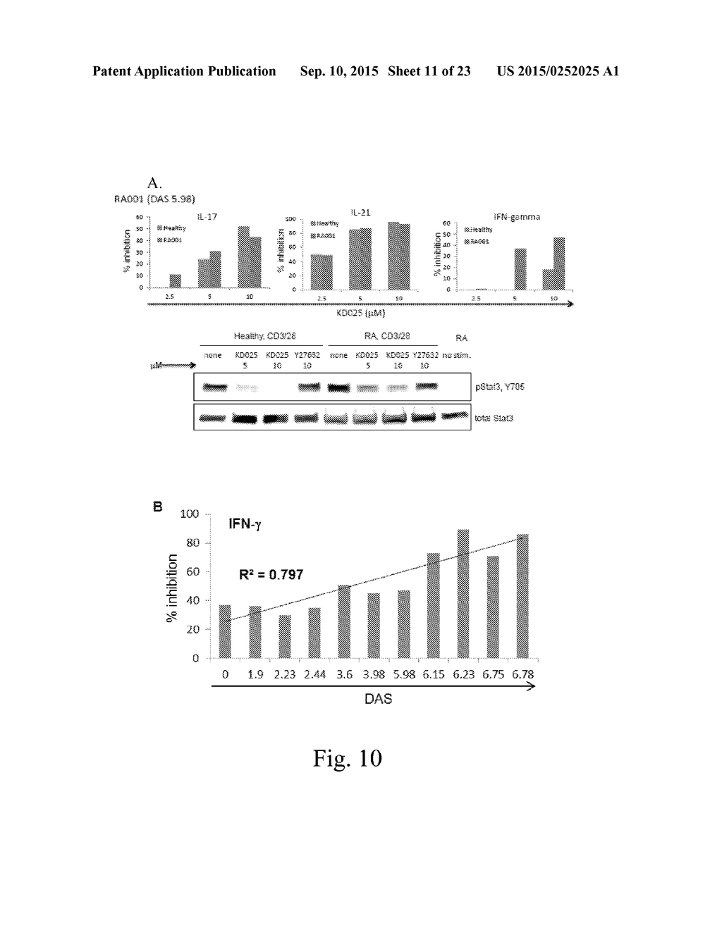 RHO KINASE INHIBITORS - diagram, schematic, and image 12