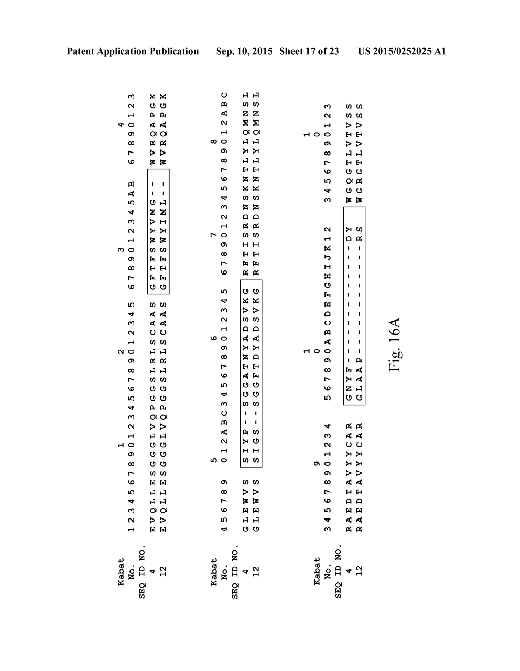 RHO KINASE INHIBITORS - diagram, schematic, and image 18