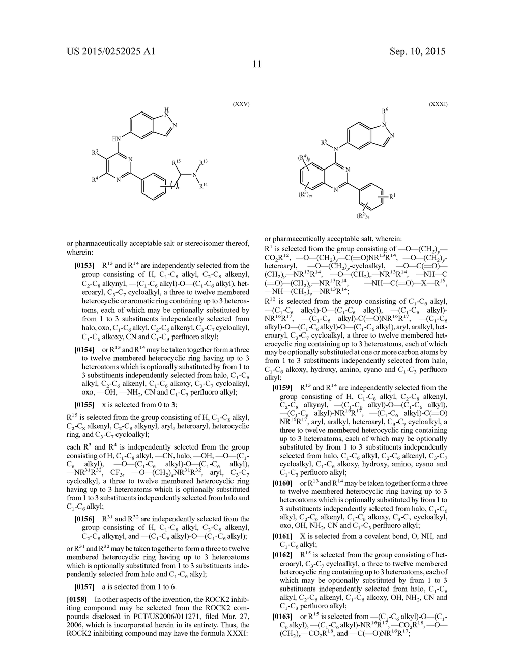 RHO KINASE INHIBITORS - diagram, schematic, and image 35