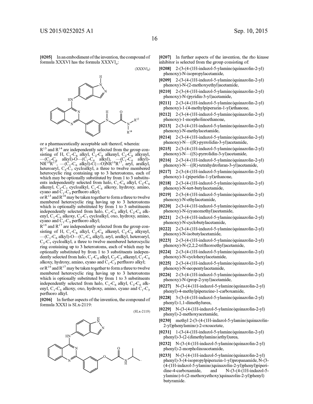 RHO KINASE INHIBITORS - diagram, schematic, and image 40