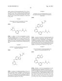 RHO KINASE INHIBITORS diagram and image