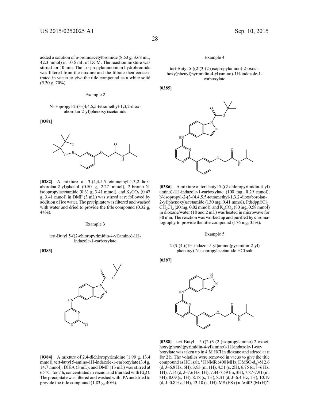 RHO KINASE INHIBITORS - diagram, schematic, and image 52