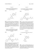 RHO KINASE INHIBITORS diagram and image