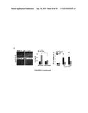 ACTIVATION OF TRPV4 ION CHANNEL BY PHYSICAL STIMULI AND CRITICAL ROLE FOR     TRPV4 IN ORGAN-SPECIFIC INFLAMMATION AND ITCH diagram and image