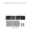 ACTIVATION OF TRPV4 ION CHANNEL BY PHYSICAL STIMULI AND CRITICAL ROLE FOR     TRPV4 IN ORGAN-SPECIFIC INFLAMMATION AND ITCH diagram and image