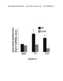 ACTIVATION OF TRPV4 ION CHANNEL BY PHYSICAL STIMULI AND CRITICAL ROLE FOR     TRPV4 IN ORGAN-SPECIFIC INFLAMMATION AND ITCH diagram and image