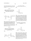 SUBSTITUTED BENZAMIDES AND METHODS OF USE THEREOF diagram and image