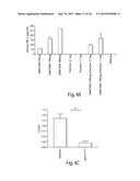 GLYCOSPHINGOLIPIDS AND METHODS OF USE THEREOF diagram and image