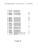 Strain-Independent Amplification of Pathogens and Vaccines Thereto diagram and image