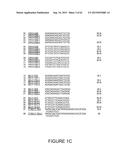 Strain-Independent Amplification of Pathogens and Vaccines Thereto diagram and image