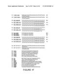 Strain-Independent Amplification of Pathogens and Vaccines Thereto diagram and image