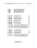 Strain-Independent Amplification of Pathogens and Vaccines Thereto diagram and image