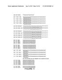 Strain-Independent Amplification of Pathogens and Vaccines Thereto diagram and image