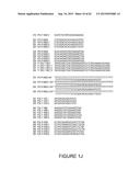 Strain-Independent Amplification of Pathogens and Vaccines Thereto diagram and image