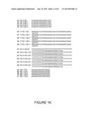 Strain-Independent Amplification of Pathogens and Vaccines Thereto diagram and image