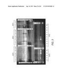 Strain-Independent Amplification of Pathogens and Vaccines Thereto diagram and image