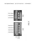 Strain-Independent Amplification of Pathogens and Vaccines Thereto diagram and image