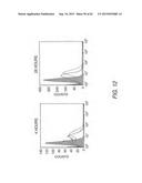 Strain-Independent Amplification of Pathogens and Vaccines Thereto diagram and image