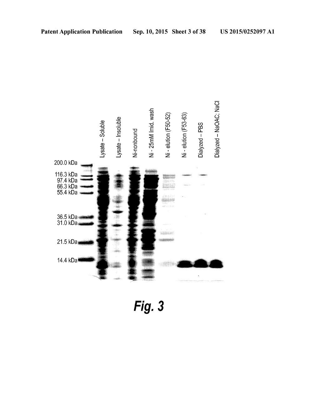 TARGETED THERAPEUTICS BASED ON ENGINEERED PROTEINS FOR TYROSINE KINASES     RECEPTORS, INCLUDING IGF-IR - diagram, schematic, and image 04