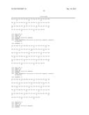 TARGETED THERAPEUTICS BASED ON ENGINEERED PROTEINS FOR TYROSINE KINASES     RECEPTORS, INCLUDING IGF-IR diagram and image