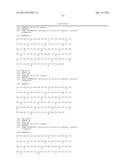 TARGETED THERAPEUTICS BASED ON ENGINEERED PROTEINS FOR TYROSINE KINASES     RECEPTORS, INCLUDING IGF-IR diagram and image