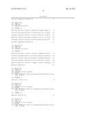 NOVEL ANTIBODIES INHIBITING C-MET DIMERIZATION AND USES THEREOF diagram and image