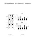 NOVEL ANTIBODIES INHIBITING C-MET DIMERIZATION AND USES THEREOF diagram and image