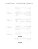 NOVEL ANTIBODIES INHIBITING C-MET DIMERIZATION AND USES THEREOF diagram and image