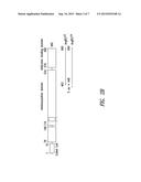 INNOVATIVE DISCOVERY OF THERAPEUTIC, DIAGNOSTIC, AND ANTIBODY COMPOSITIONS     RELATED TO PROTEIN FRAGMENTS OF ARGINYL-TRNA SYNTHETASES diagram and image