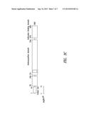 INNOVATIVE DISCOVERY OF THERAPEUTIC, DIAGNOSTIC, AND ANTIBODY COMPOSITIONS     RELATED TO PROTEIN FRAGMENTS OF ARGINYL-TRNA SYNTHETASES diagram and image