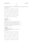 INNOVATIVE DISCOVERY OF THERAPEUTIC, DIAGNOSTIC, AND ANTIBODY COMPOSITIONS     RELATED TO PROTEIN FRAGMENTS OF ARGINYL-TRNA SYNTHETASES diagram and image