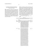 INNOVATIVE DISCOVERY OF THERAPEUTIC, DIAGNOSTIC, AND ANTIBODY COMPOSITIONS     RELATED TO PROTEIN FRAGMENTS OF ARGINYL-TRNA SYNTHETASES diagram and image