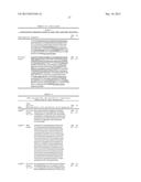 INNOVATIVE DISCOVERY OF THERAPEUTIC, DIAGNOSTIC, AND ANTIBODY COMPOSITIONS     RELATED TO PROTEIN FRAGMENTS OF ARGINYL-TRNA SYNTHETASES diagram and image