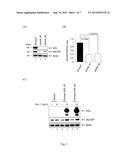 USE OF ATX INHIBITORS FOR TREATMENT OR PREVENTION OF INFLUENZA VIRUS A     INFECTIONS diagram and image