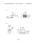 USE OF ATX INHIBITORS FOR TREATMENT OR PREVENTION OF INFLUENZA VIRUS A     INFECTIONS diagram and image