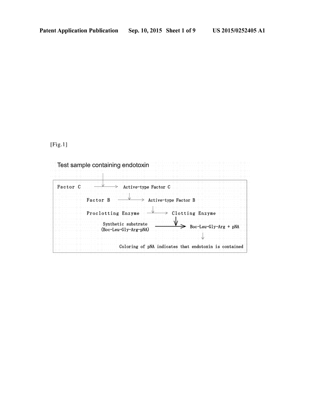 METHOD FOR MEASURING ENDOTOXIN - diagram, schematic, and image 02